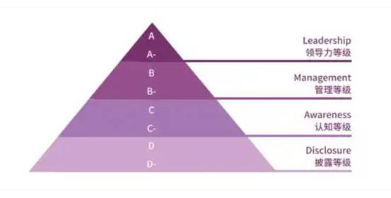 图表, 漏斗图

AI 生成的内容可能不正确。